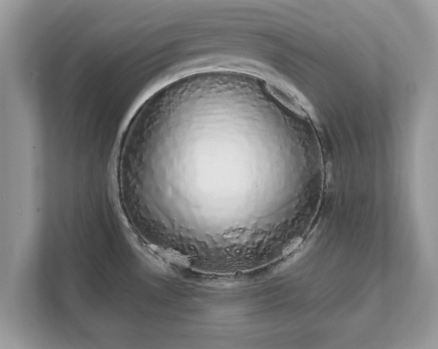 X0000111881530200907301126