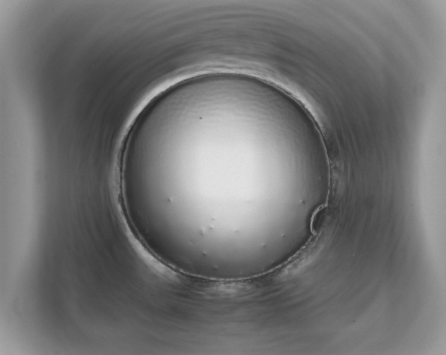 X0000111881531200907301126