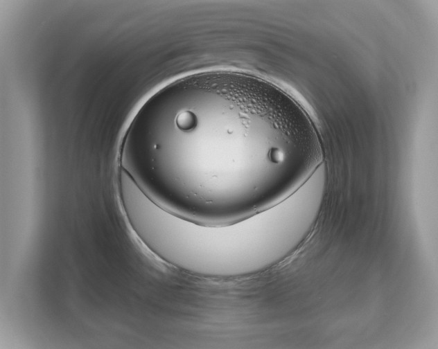 X0000111881532200907301126