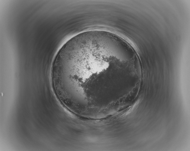 X0000111881533200907301126