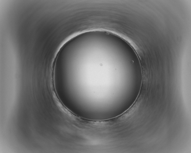 X0000111881534200907301126
