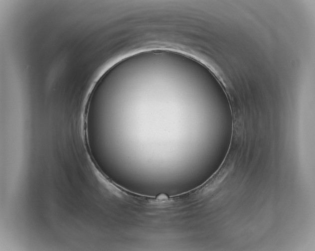 X0000111881535200907301127