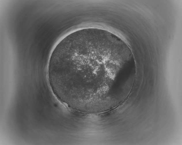X0000111881536200907301127
