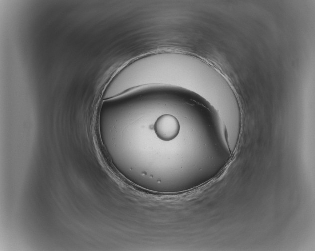 X0000111880001200908061323