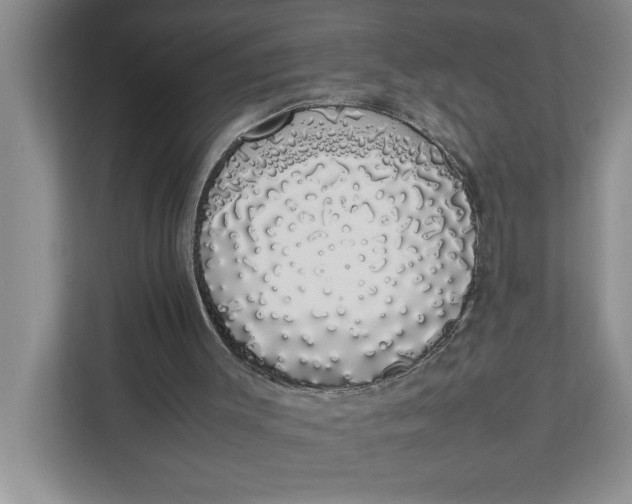 X0000111880003200908061323