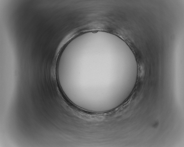 X0000111880004200908061323