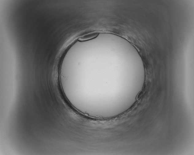 X0000111880005200908061323