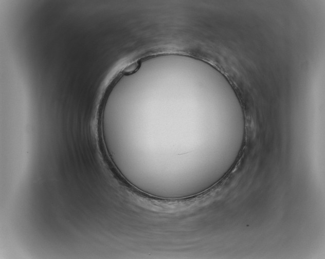 X0000111880006200908061323