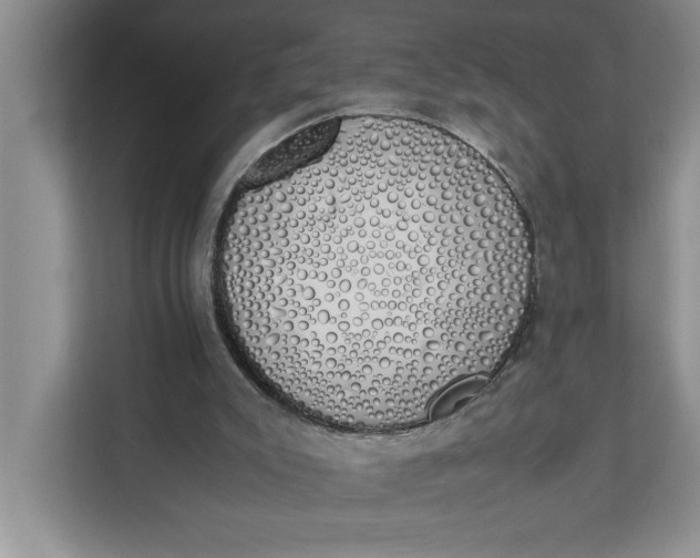 X0000111880007200908061323