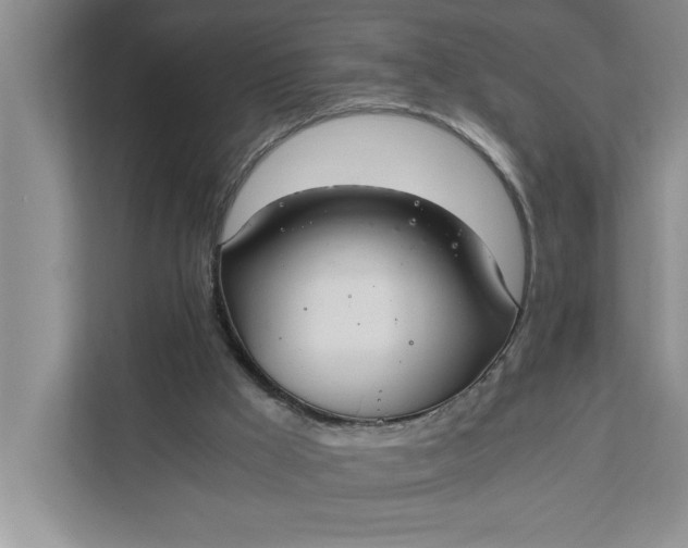 X0000111880009200908061323