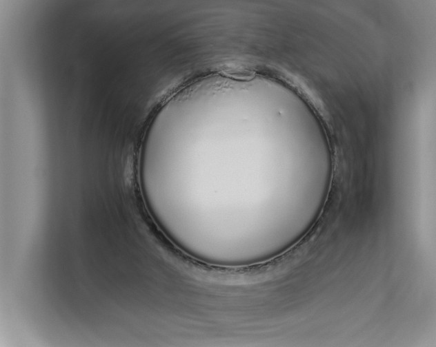 X0000111880010200908061323