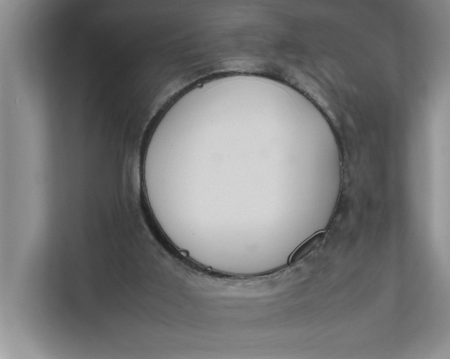 X0000111880011200908061323