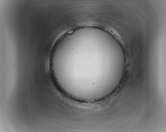 X0000111880012200908061323