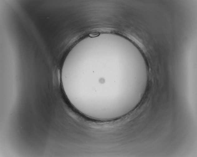 X0000111880013200908061323