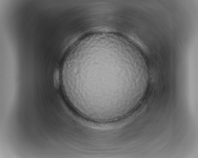 X0000111880014200908061323