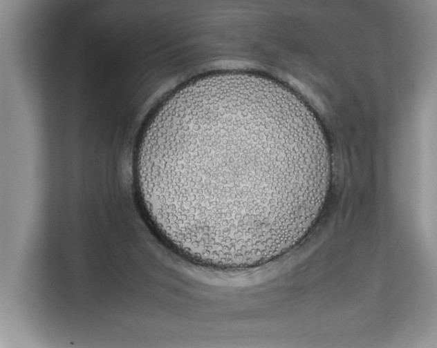 X0000111880015200908061323