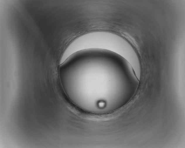 X0000111880017200908061323