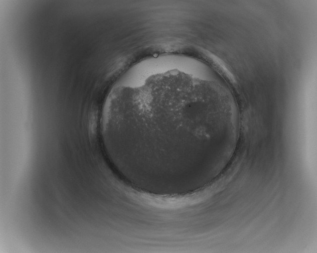 X0000111880018200908061323