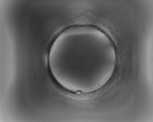 X0000111880019200908061323