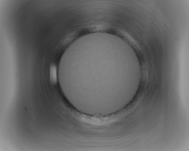 X0000111880022200908061323