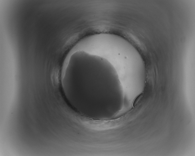 X0000111880023200908061323