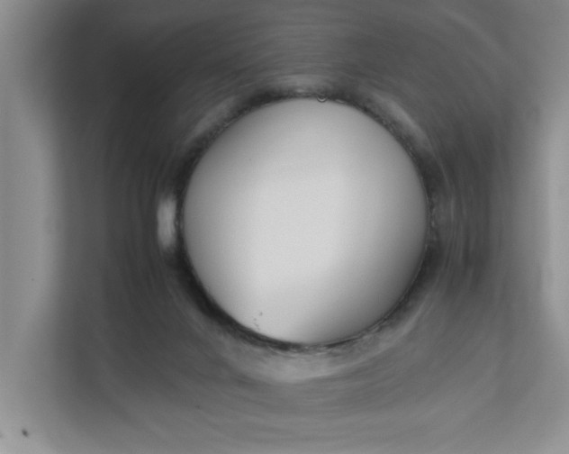 X0000111880024200908061323