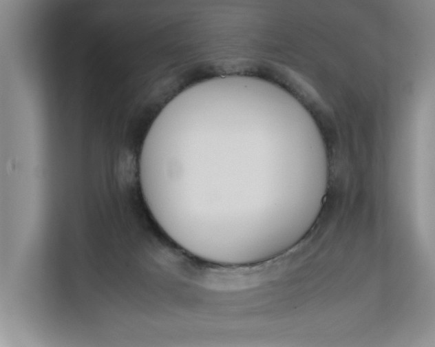 X0000111880025200908061323