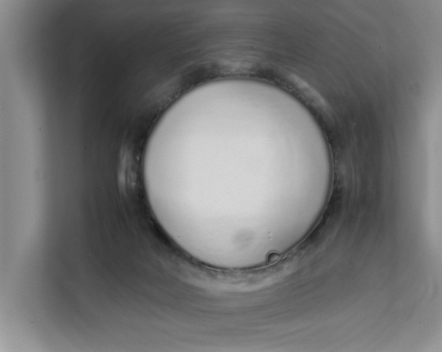 X0000111880026200908061323