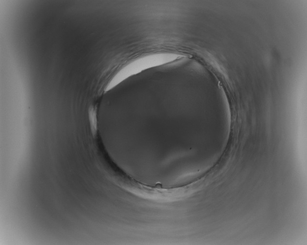 X0000111880027200908061323