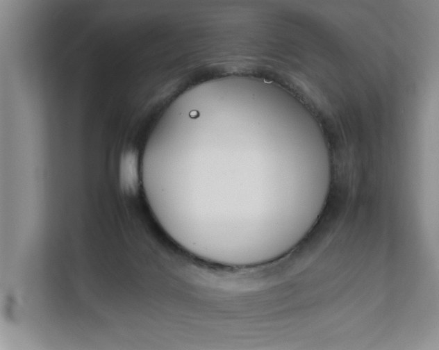 X0000111880028200908061323