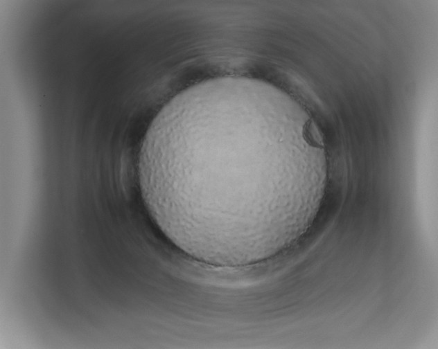 X0000111880030200908061323