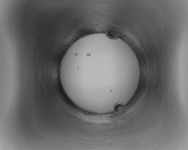 X0000111880032200908061323