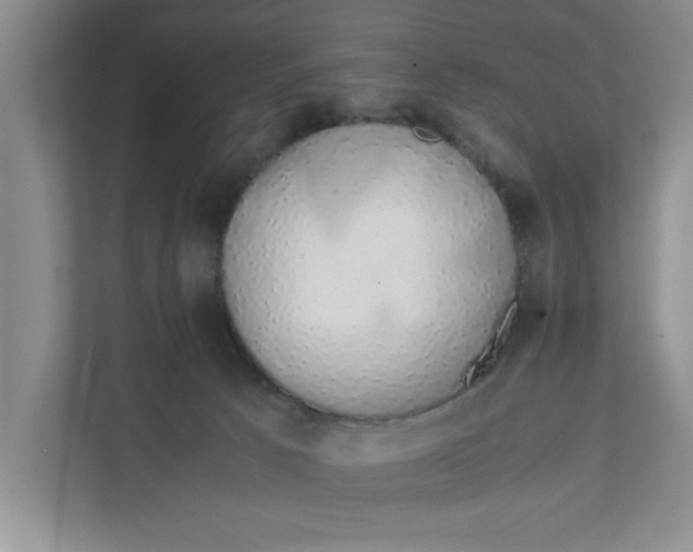 X0000111880033200908061323