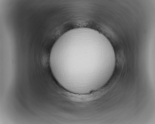 X0000111880034200908061323