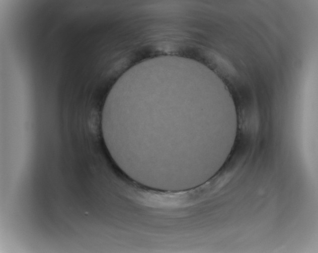 X0000111880036200908061323