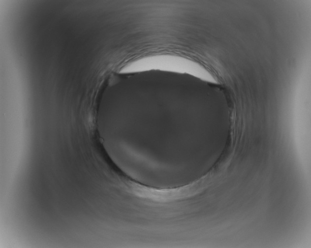 X0000111880039200908061323