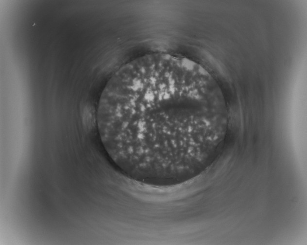 X0000111880043200908061323