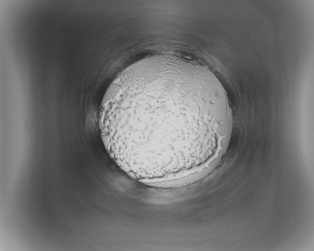 X0000111880045200908061322