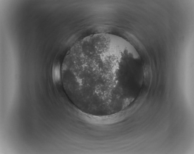 X0000111880046200908061322