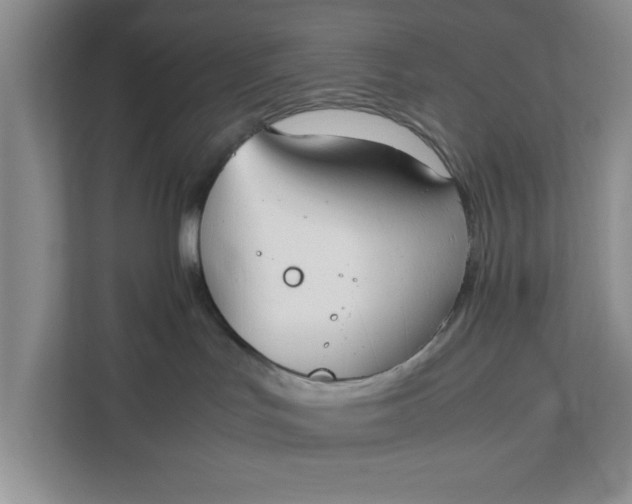 X0000111880047200908061322