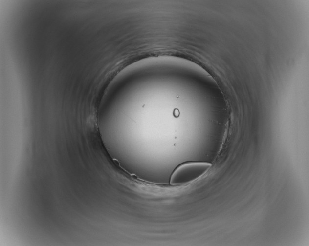 X0000111880048200908061322