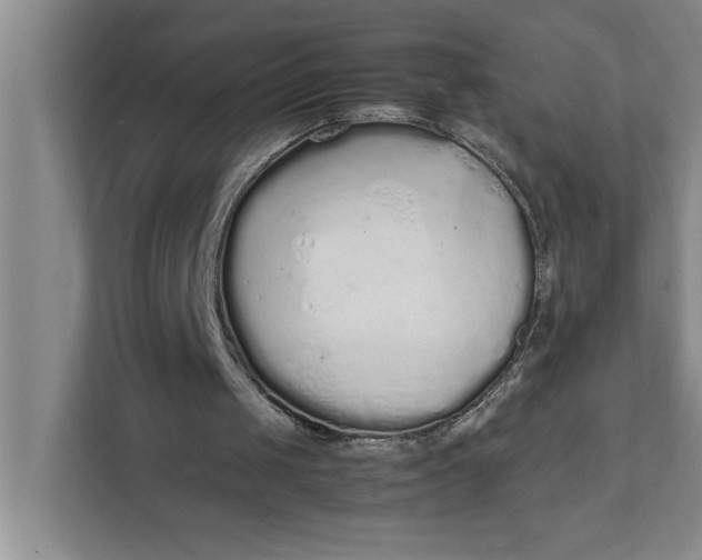 X0000111880049200908061322