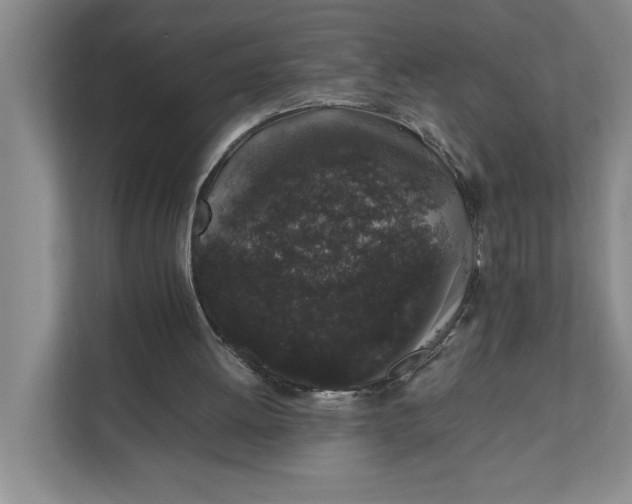 X0000111880052200908061322