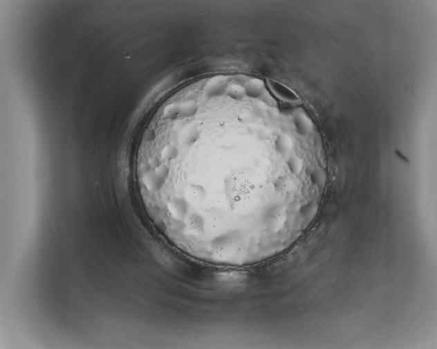 X0000111880053200908061322