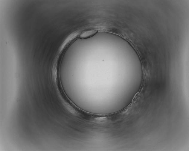 X0000111880054200908061322