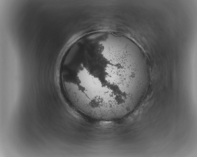 X0000111880055200908061322