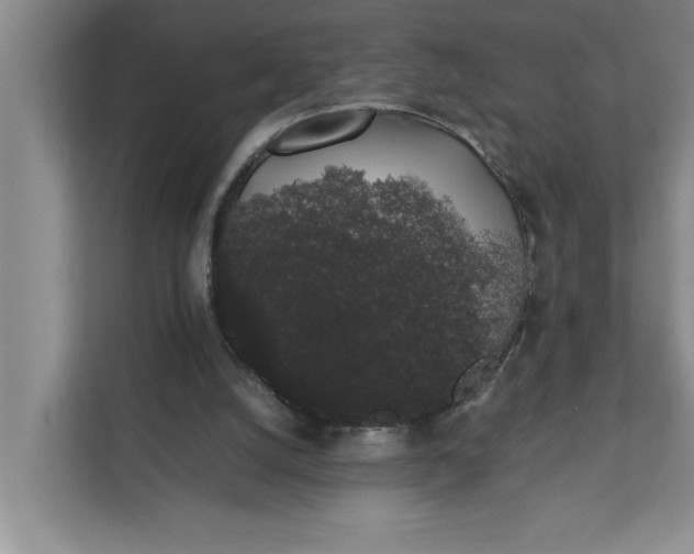 X0000111880056200908061322