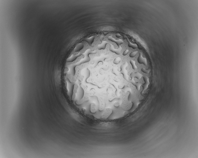 X0000111880057200908061322