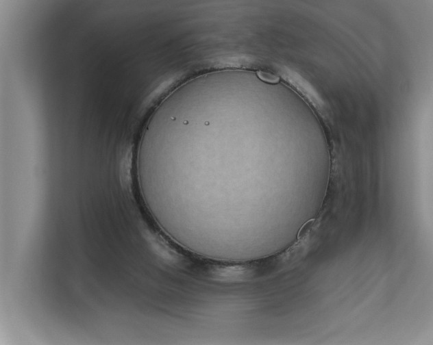 X0000111880058200908061322