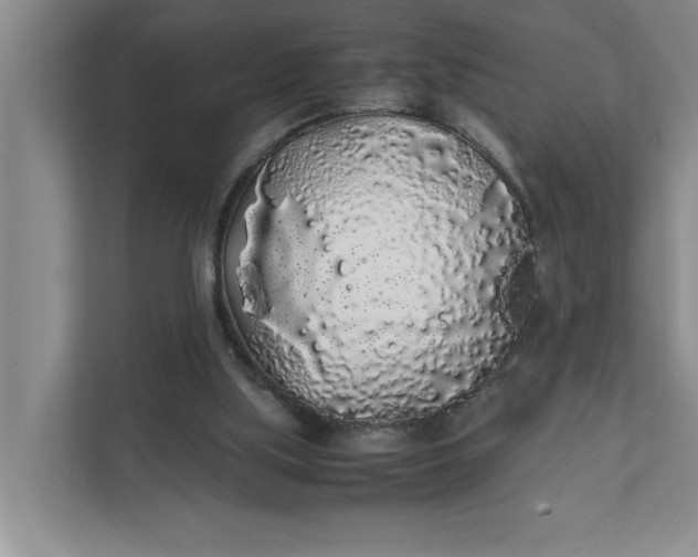 X0000111880059200908061322